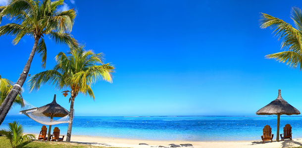 Panoramic view of a tranquil beach with clear waters and palm trees